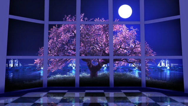 ステージ(湾岸桜) VOL.ST42