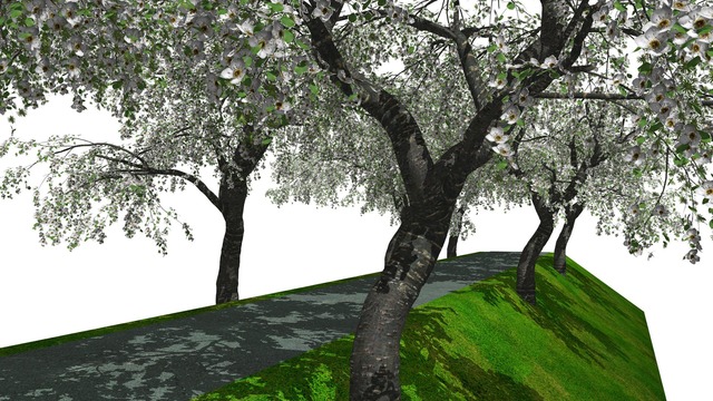 桜道ステージ 1.0