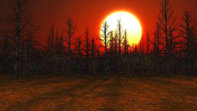 スカイドーム(枯木の夕景) VOL.MM7