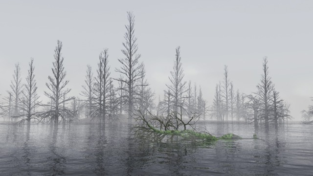 スカイドーム(霧の枯木) VOL.NN3