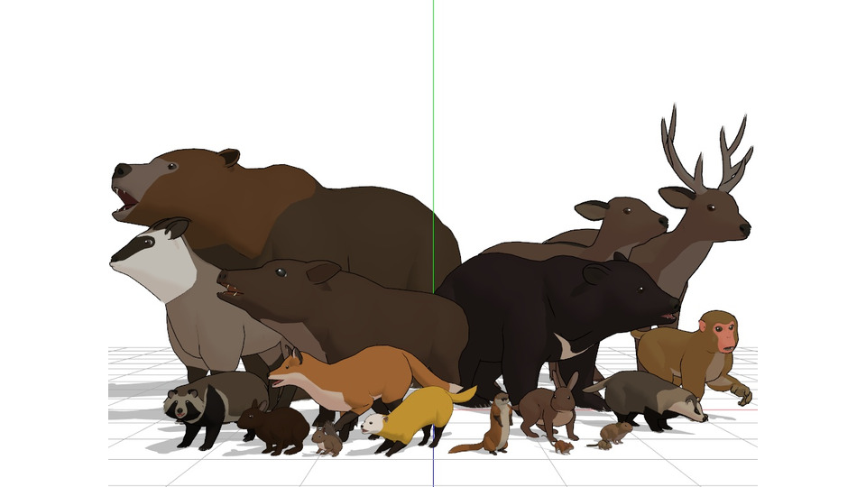 日本の野生動物セット