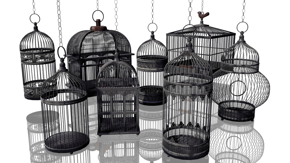 鳥籠８種配布用