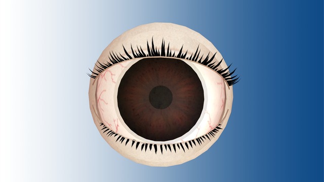 目玉モデル配布