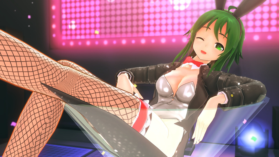 ラビットホールcamera