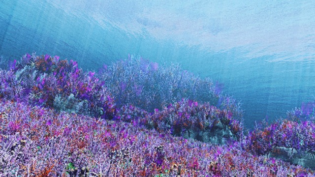 水中スカイドーム(珊瑚礁) VOL.Q1