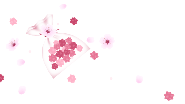 金平糖と桜_ver1.1