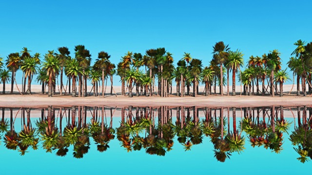 スカイドーム(昼間の海岸) VOL.W3