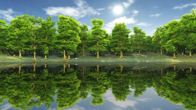 スカイドーム(昼間の森) VOL.X7