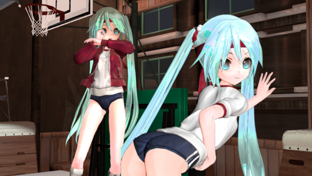 ままま式改変　体操服あぴミク　丸首（ブルマー・パンツ両タイプ）