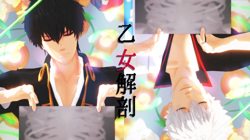 乙女解剖カメラ表情（配布）