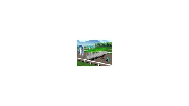 なんちゃって競馬場セット