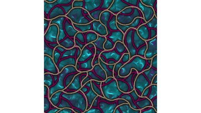 触手用テクスチャ