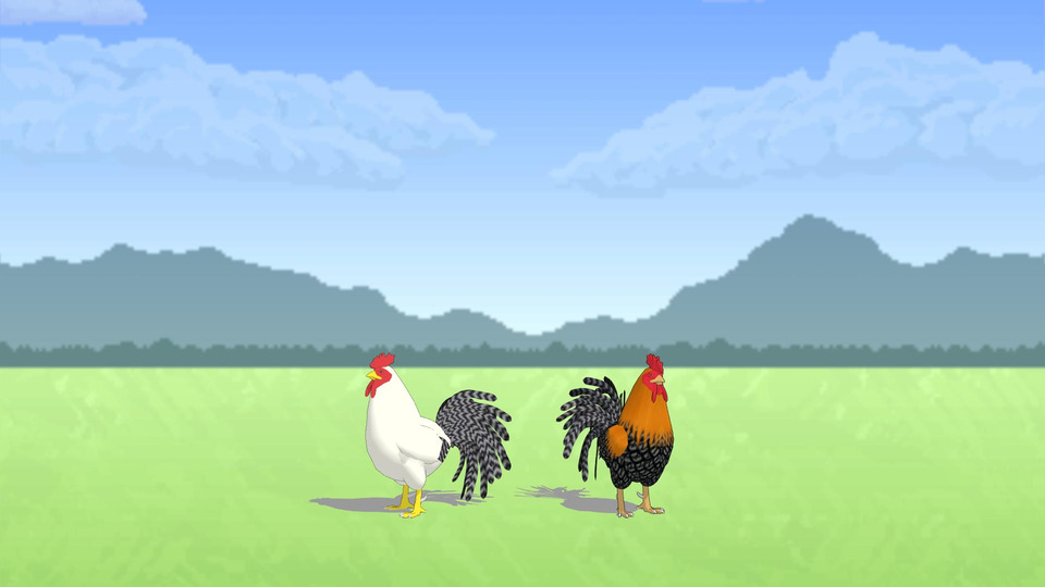 ニワトリ_モーション