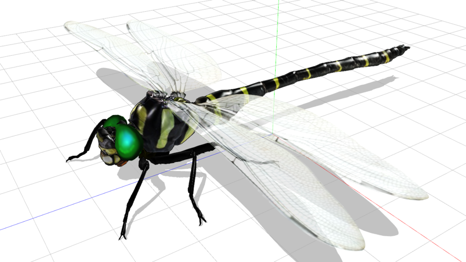 オニヤンマ MMDモデル