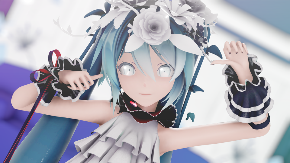 マーシャルマキシマイザー カメラ